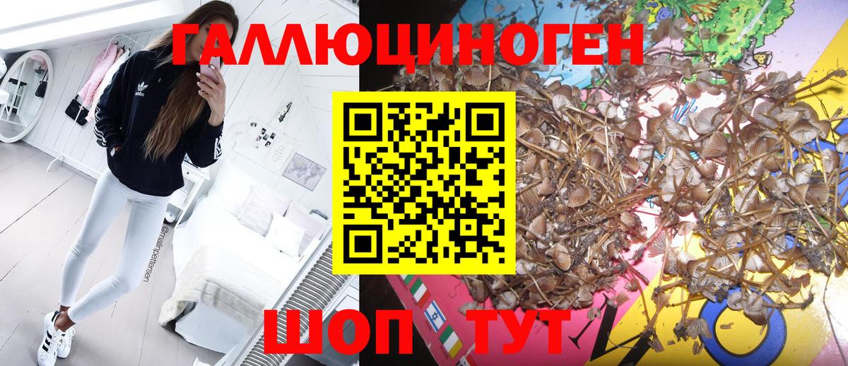 Псилоцибиновые грибы мицелий Можга
