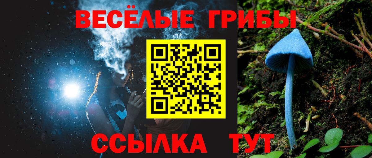 Галлюциногенные грибы MAGIC MUSHROOMS  Вход с VPN  Можга 